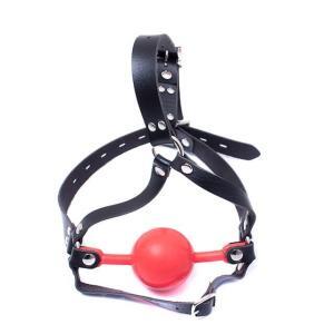 Roter Harness